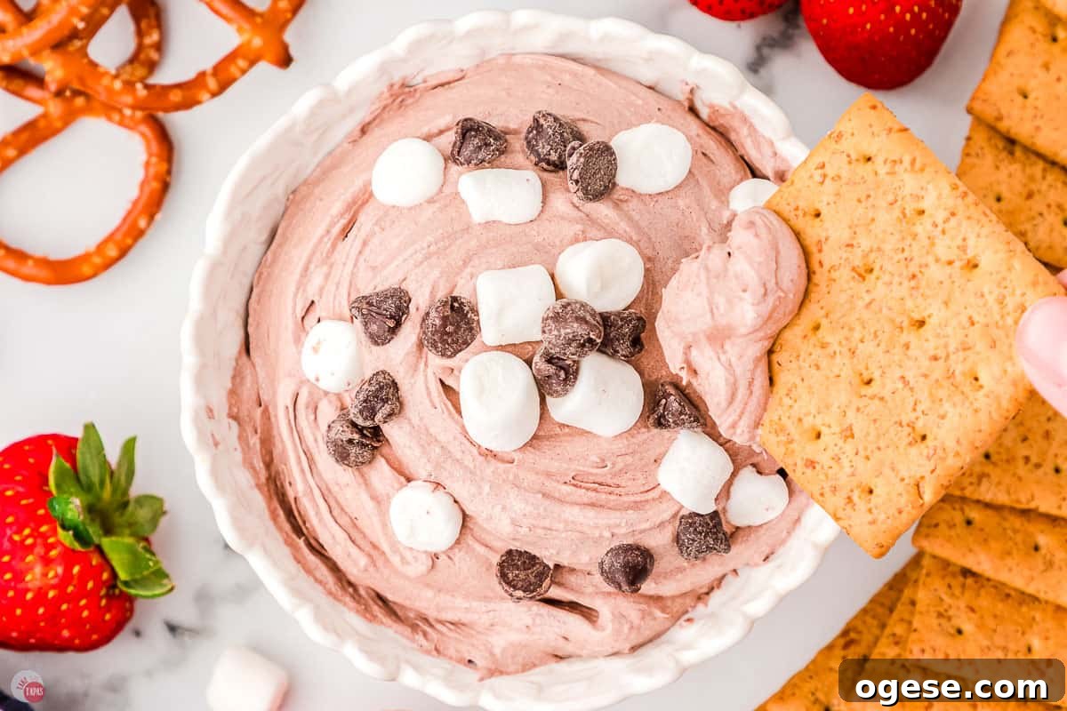 Hot Cocoa Dip Recipe for Dipping Cookies and Fruit 7 bowl of dip with graham cracker dipping in it