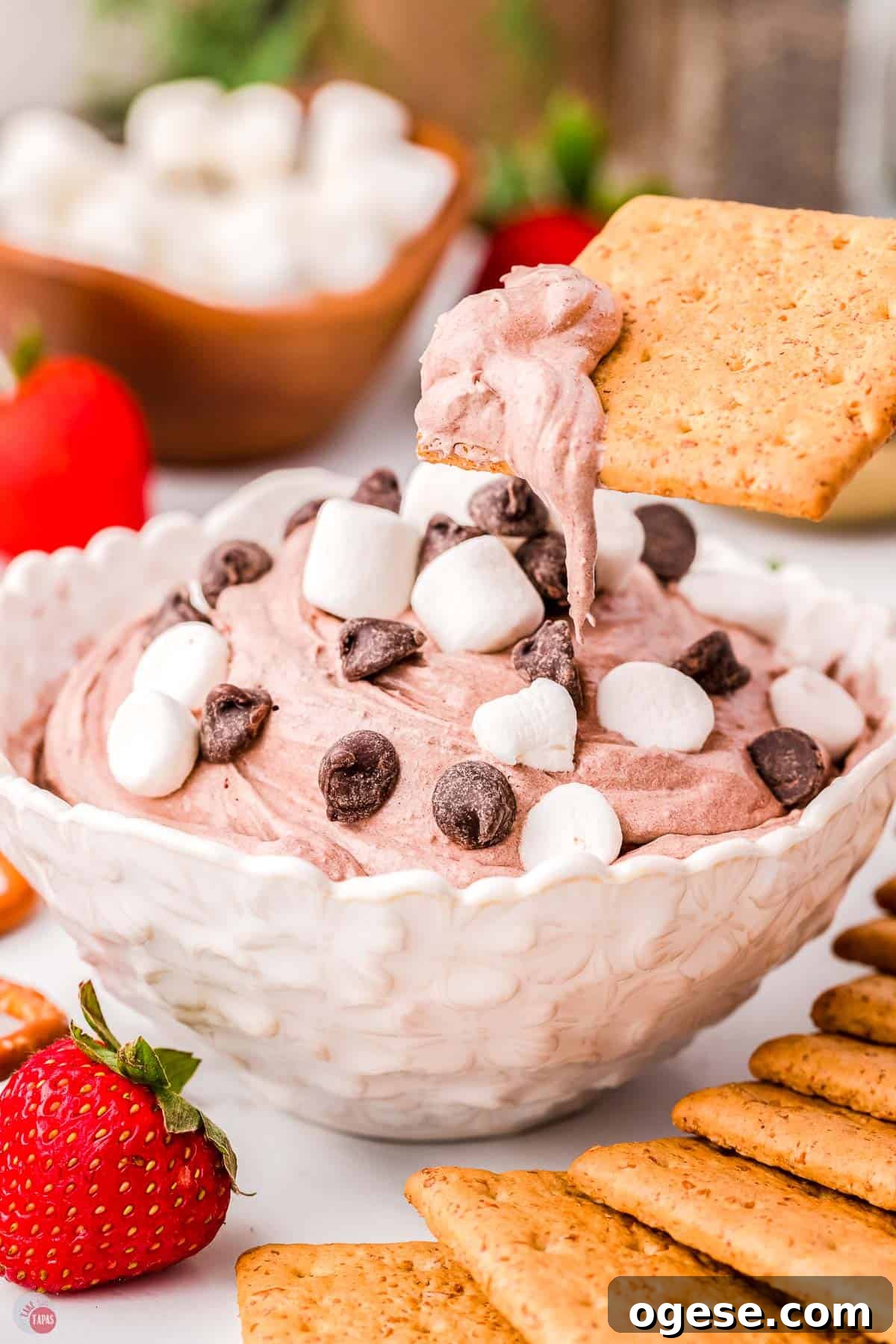 Hot Cocoa Dip Recipe for Dipping Cookies and Fruit 8 graham cracker dipping in cocoa dip