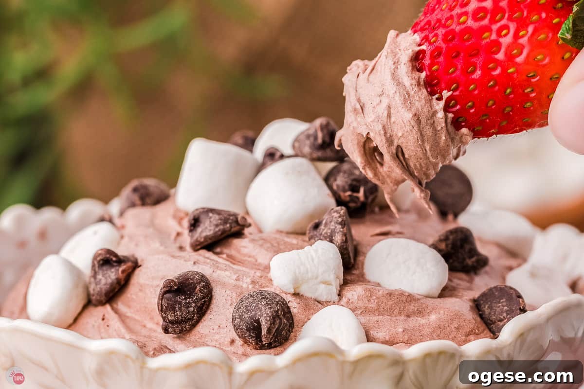 Hot Cocoa Dip Recipe for Dipping Cookies and Fruit 9 strawberry and chocolate dip with marshmallows and chocolate chips