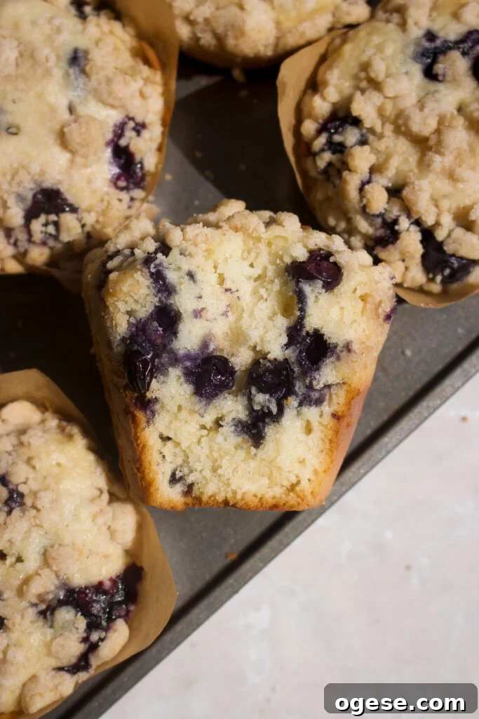 Blueberry Coffee Cake Muffins Recipe for Moist, Crumb-Topped Delight 2 Blueberry Coffee Cake Muffins