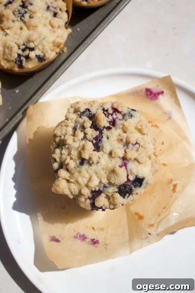 Blueberry Coffee Cake Muffins Recipe for Moist, Crumb-Topped Delight 11 Finished muffins on plate