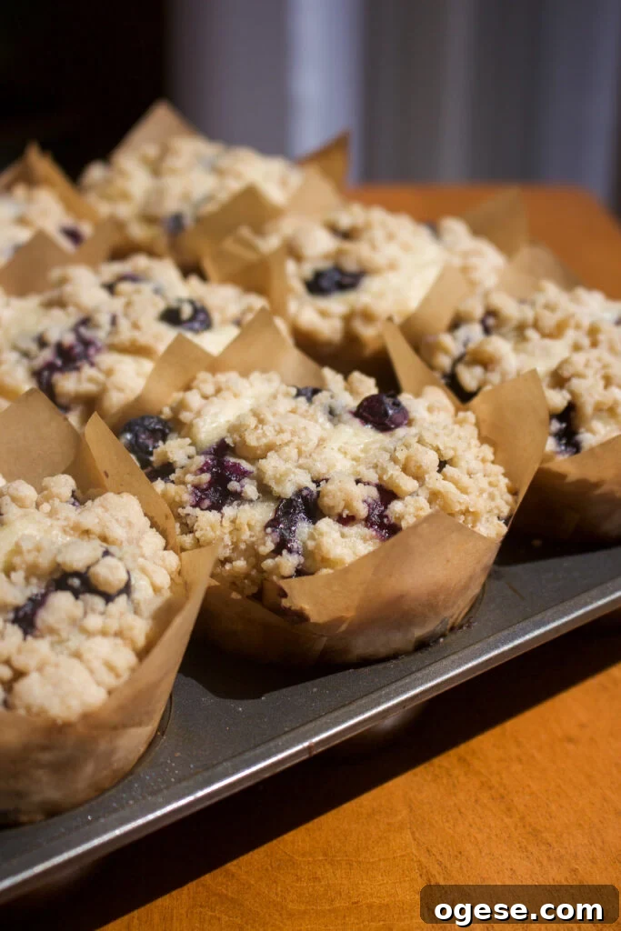 Blueberry Coffee Cake Muffins Recipe for Moist, Crumb-Topped Delight 3 Blueberry Muffins Closeup
