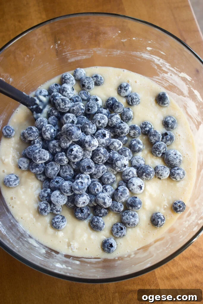 Blueberry Coffee Cake Muffins Recipe for Moist, Crumb-Topped Delight 7 Folding blueberries