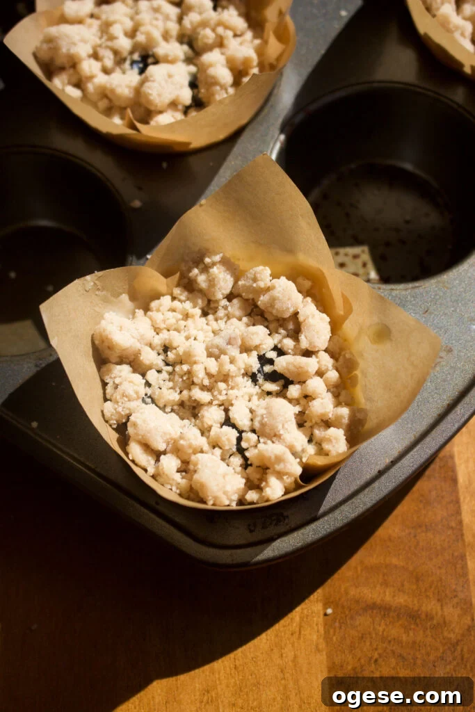 Blueberry Coffee Cake Muffins Recipe for Moist, Crumb-Topped Delight 9 Muffins ready to bake
