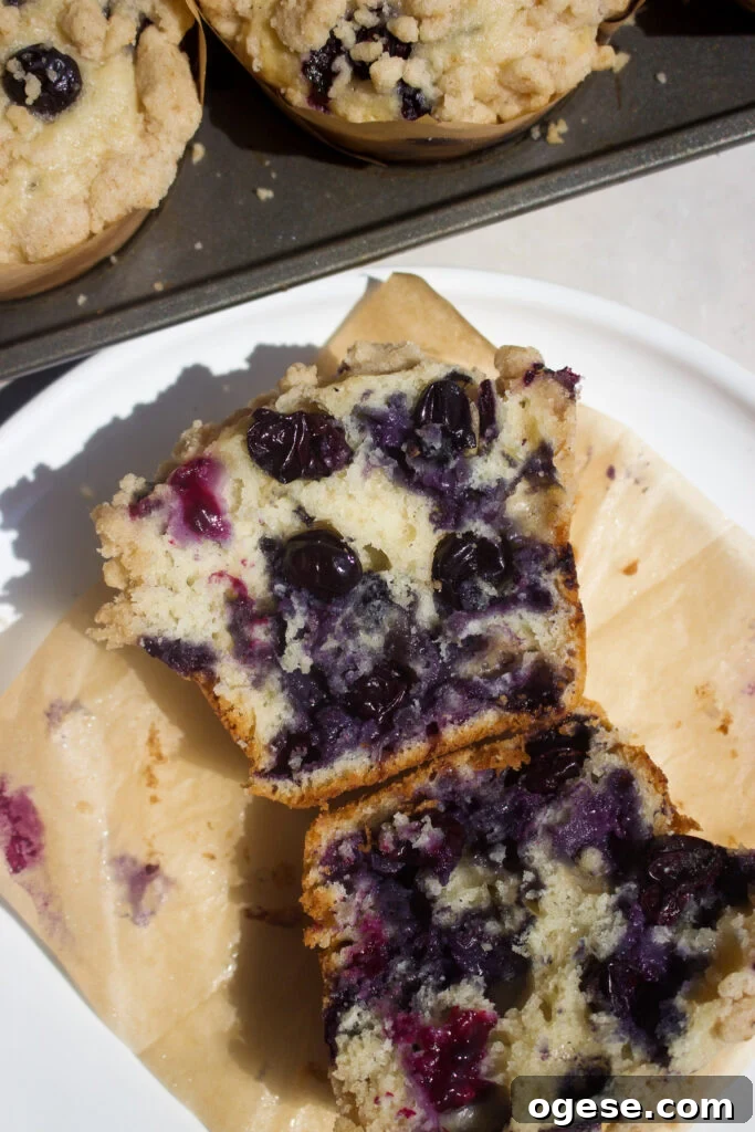 Blueberry Coffee Cake Muffins Recipe for Moist, Crumb-Topped Delight 10 Baked muffins