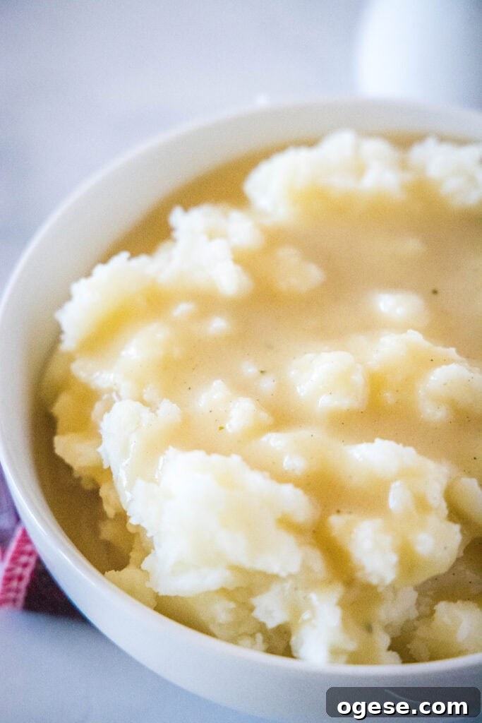 Classic Homemade Gravy Recipe for Perfect Comfort Meals 2 bowl of mashed potatoes with kfc gravy