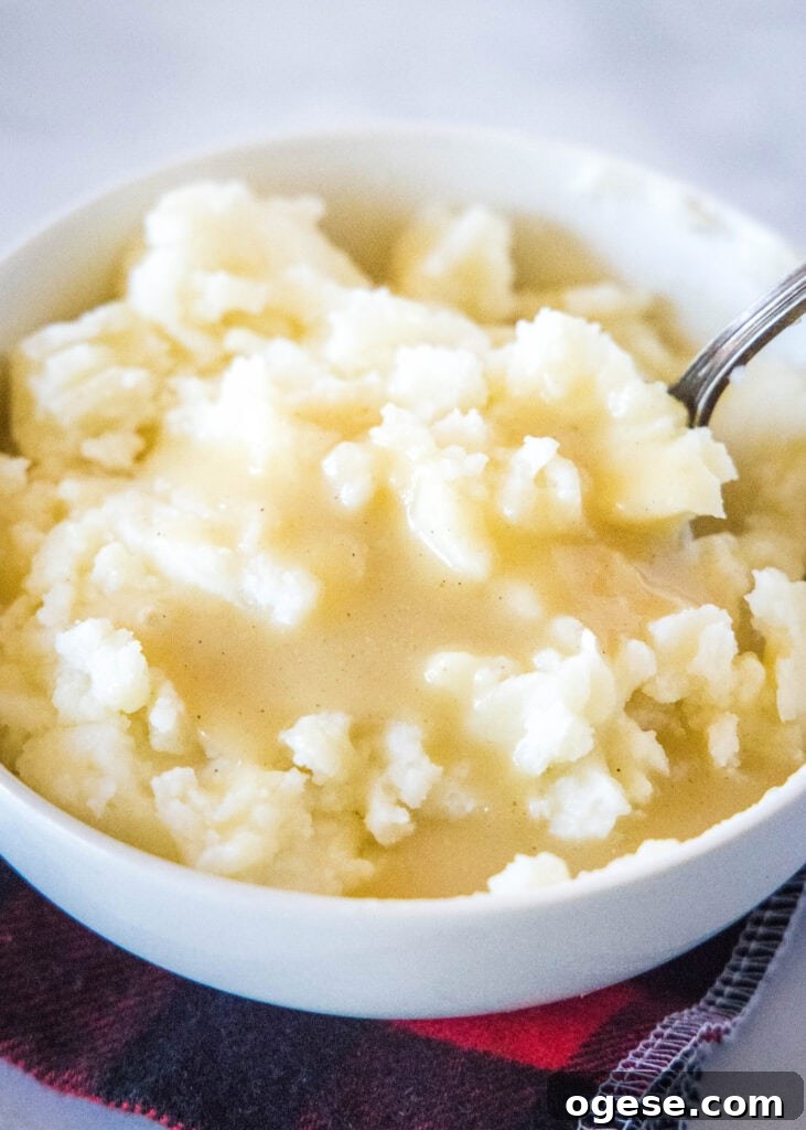 Classic Homemade Gravy Recipe for Perfect Comfort Meals 6 a spoon in a bowl of mashed potatoes