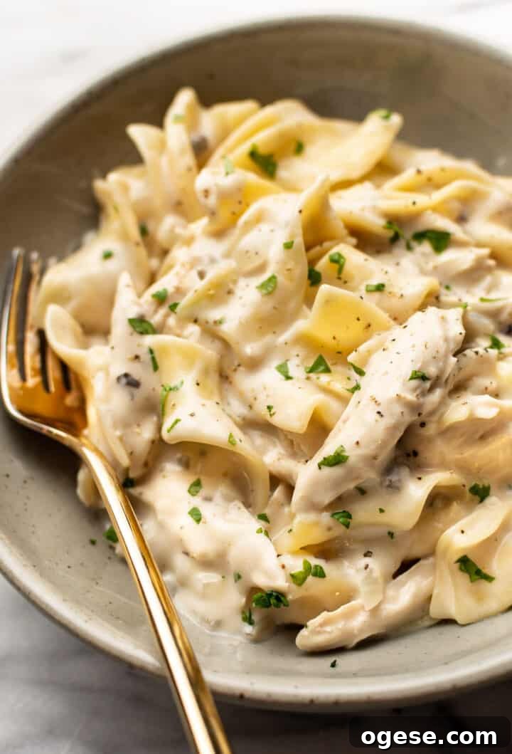 a bowl of chicken and noodles with a fork