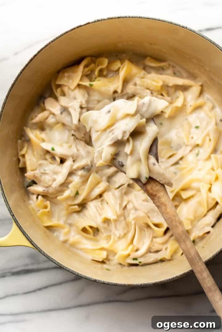 a pot with chicken and noodles and a wooden spoon