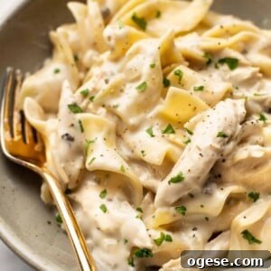 a bowl of chicken and noodles with a fork
