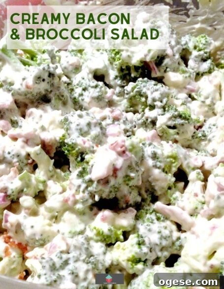Crispy Bacon and Broccoli Salad with Tangy Dijon Dressing 2 Bacon and Broccoli Salad, an easy recipe using fresh broccoli, crispy bacon and cheese, all combined in a creamy garlic dressing. Ideal as a main or side dish.