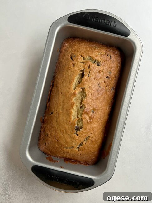 Baked chocolate chip loaf in loaf pan.