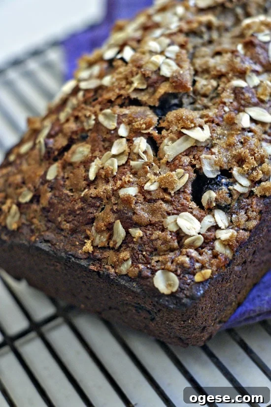 Whole Wheat Banana Blueberry Loaf — Moist Breakfast Bread 2 Whole Wheat Blueberry Banana Bread
