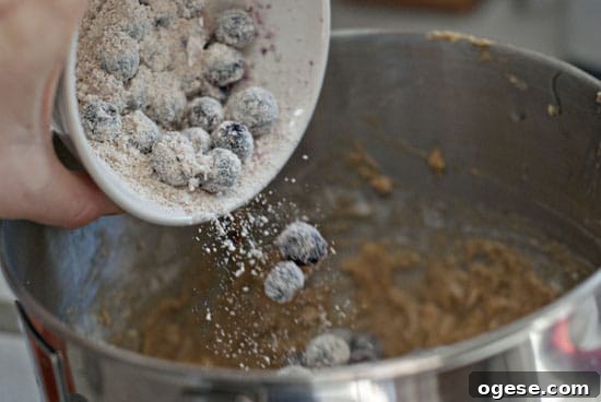 Whole Wheat Banana Blueberry Loaf — Moist Breakfast Bread 7 Whole Wheat Blueberry Banana Bread | heatherlikesfood.com