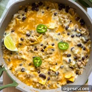 One-Pan Lemon Salmon and Orzo Recipe 14 Salsa verde chicken enchilada skillet displayed with jalapeno slices and lime wedges