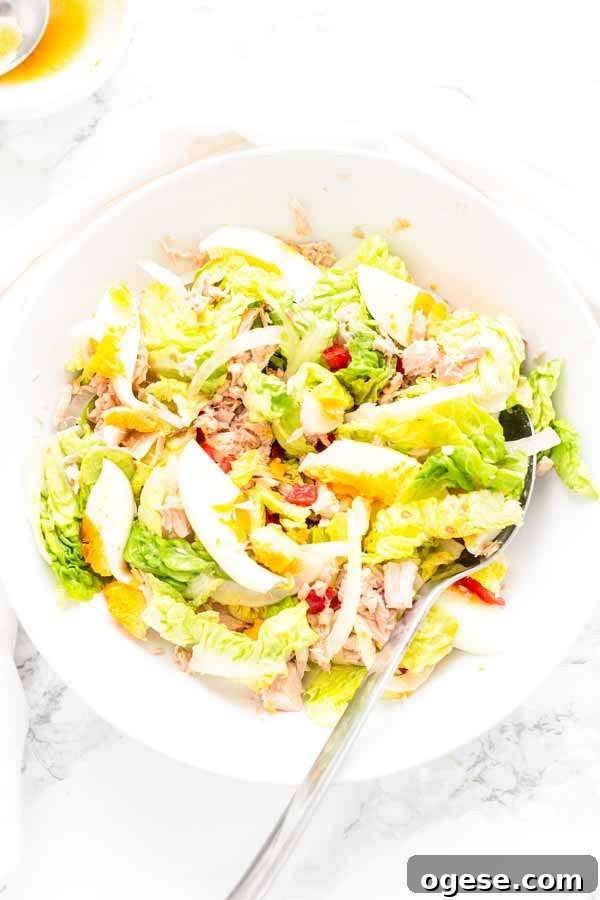 Tuna Tossed Salad with Lemon Vinaigrette 6 Variation ideas for tossed tuna salad
