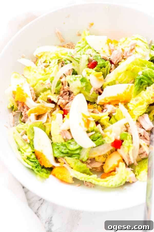 Tuna Tossed Salad with Lemon Vinaigrette 7 Tuna salad served with a main course
