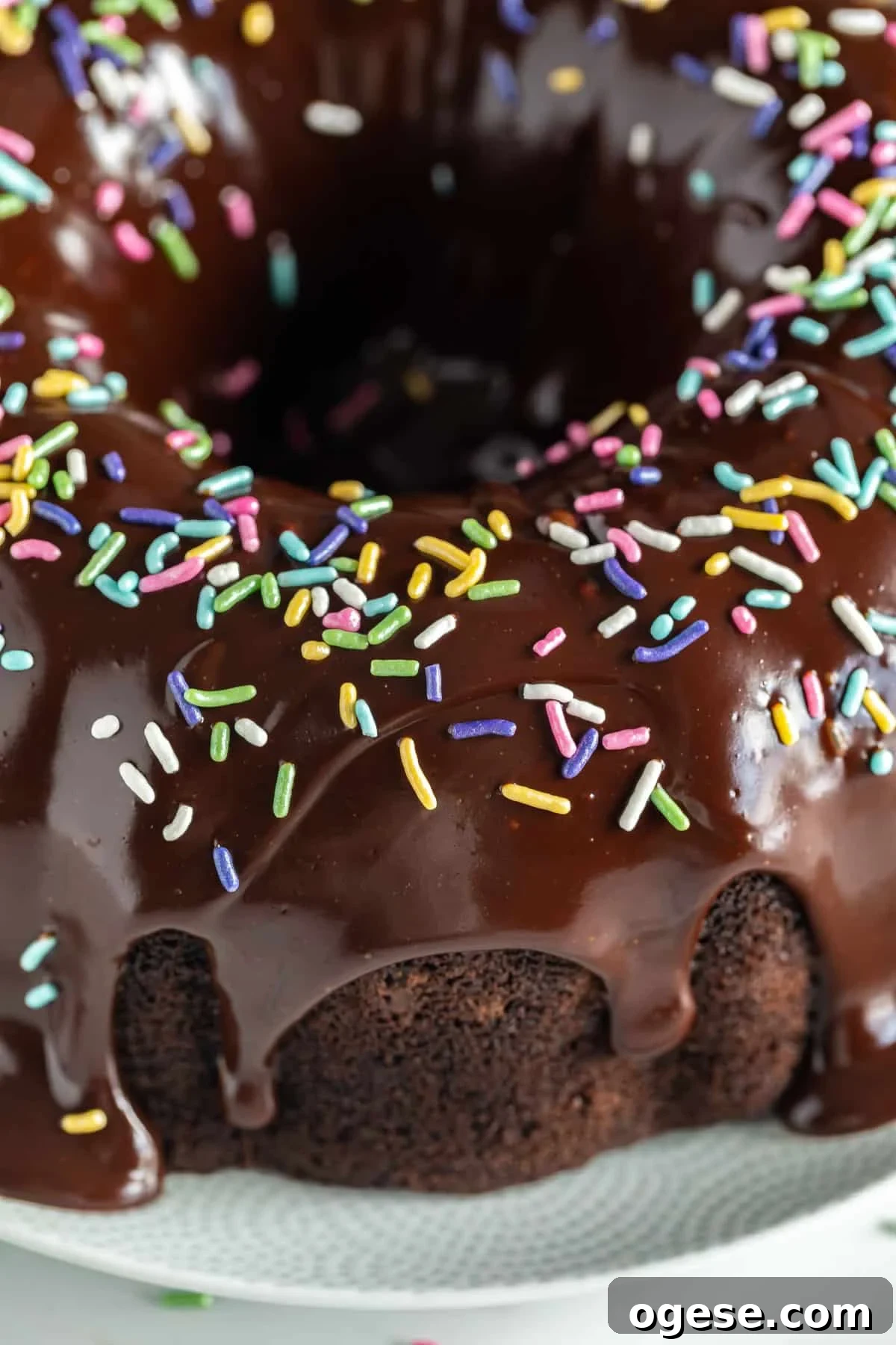 Ultimate Chocolate Overload Cake Recipe for True Chocoholics 11 A close up image of the side of a chocolate cake showing the drips of ganache and rainbow sprinkles on top of it.