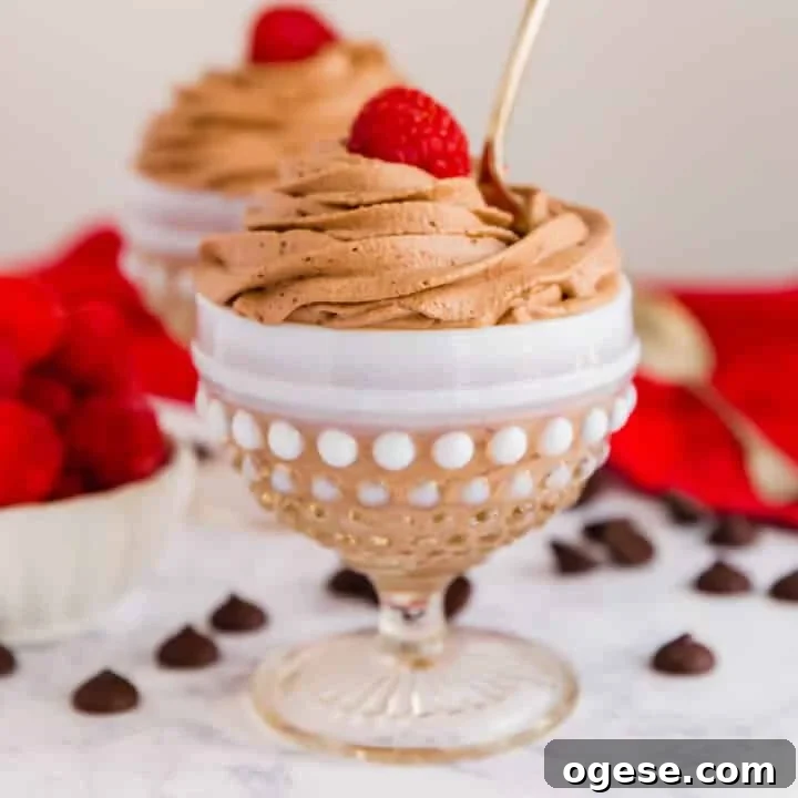 An image of a chocolate mousse cup with a spoon in it and a raspberry on top.