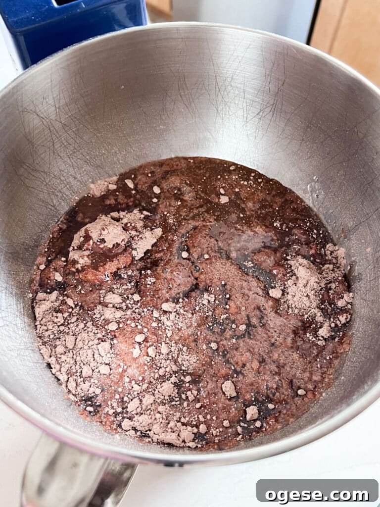 Ultimate Chocolate Overload Cake Recipe for True Chocoholics 4 Cake batter ingredients in stand mixer bowl.