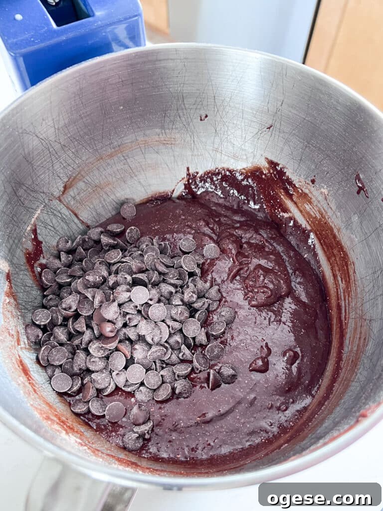 Ultimate Chocolate Overload Cake Recipe for True Chocoholics 5 Cake batter with chocolate chips in stand mixer bowl.