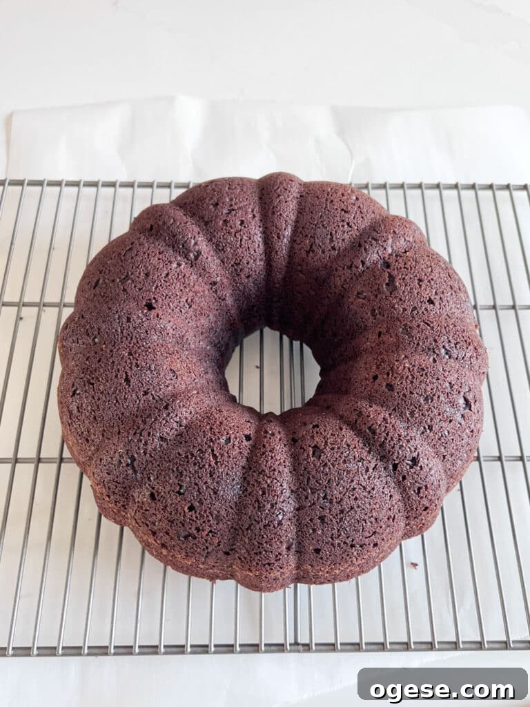 Ultimate Chocolate Overload Cake Recipe for True Chocoholics 7 Chocolate bundt cake cooking on a cooling rack.