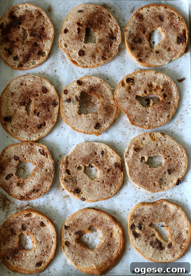 Gluten-free Cinnamon Raisin Bagel Chips. Gluten-free and dairy-free snack recipe.