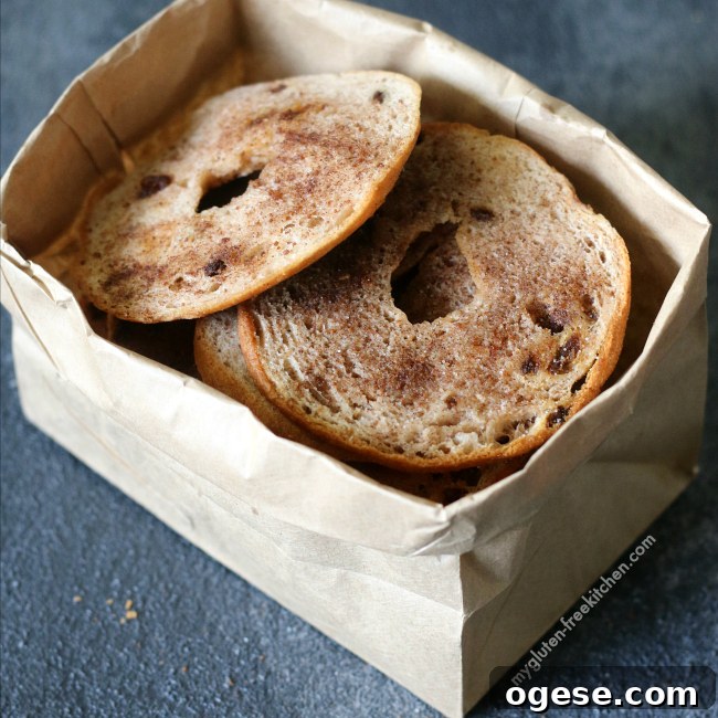 Gluten-free Cinnamon Raisin Bagel Chips. Yummy gluten-free lunchbox snack!