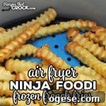 Ninja Foodi Frozen French Fries