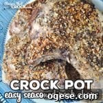Easy Crock Pot Seasoned Pork Chops