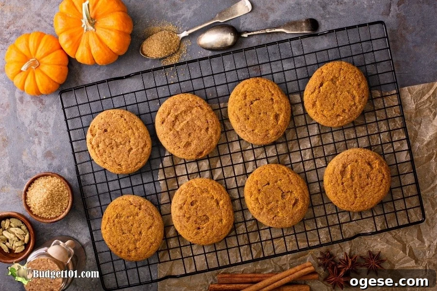 b101 pumpkin snickerdoodle cookies 5 Pumpkin Snickerdoodle Cookies by Budget101.com