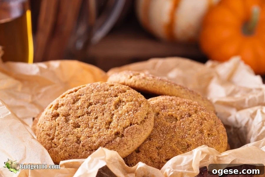 b101 pumpkin snickerdoodle cookies 3 Pumpkin Snickerdoodle Cookies by Budget101.com