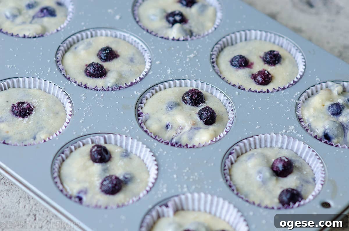 Moist Blueberry Muffin Recipe with Crispy Sugar Tops 5 Blueberry Muffins: A quick and easy recipe for the classic! Moist, tender, and bursting with juicy blueberries.