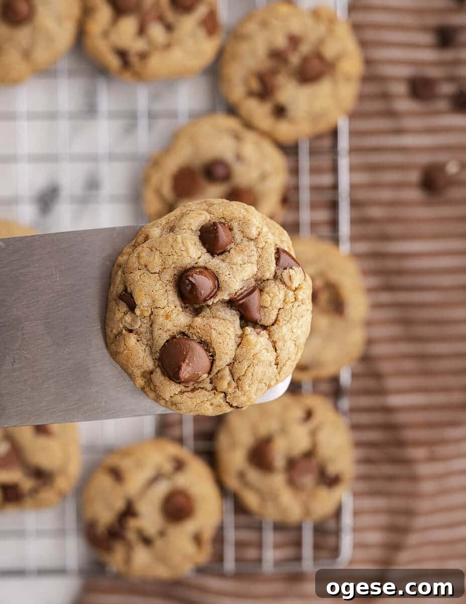 Gluten-Free Chocolate Chip Cookie Recipe You’ll Love 14 close up of a gluten free chocolate chip cookie on a spatula.