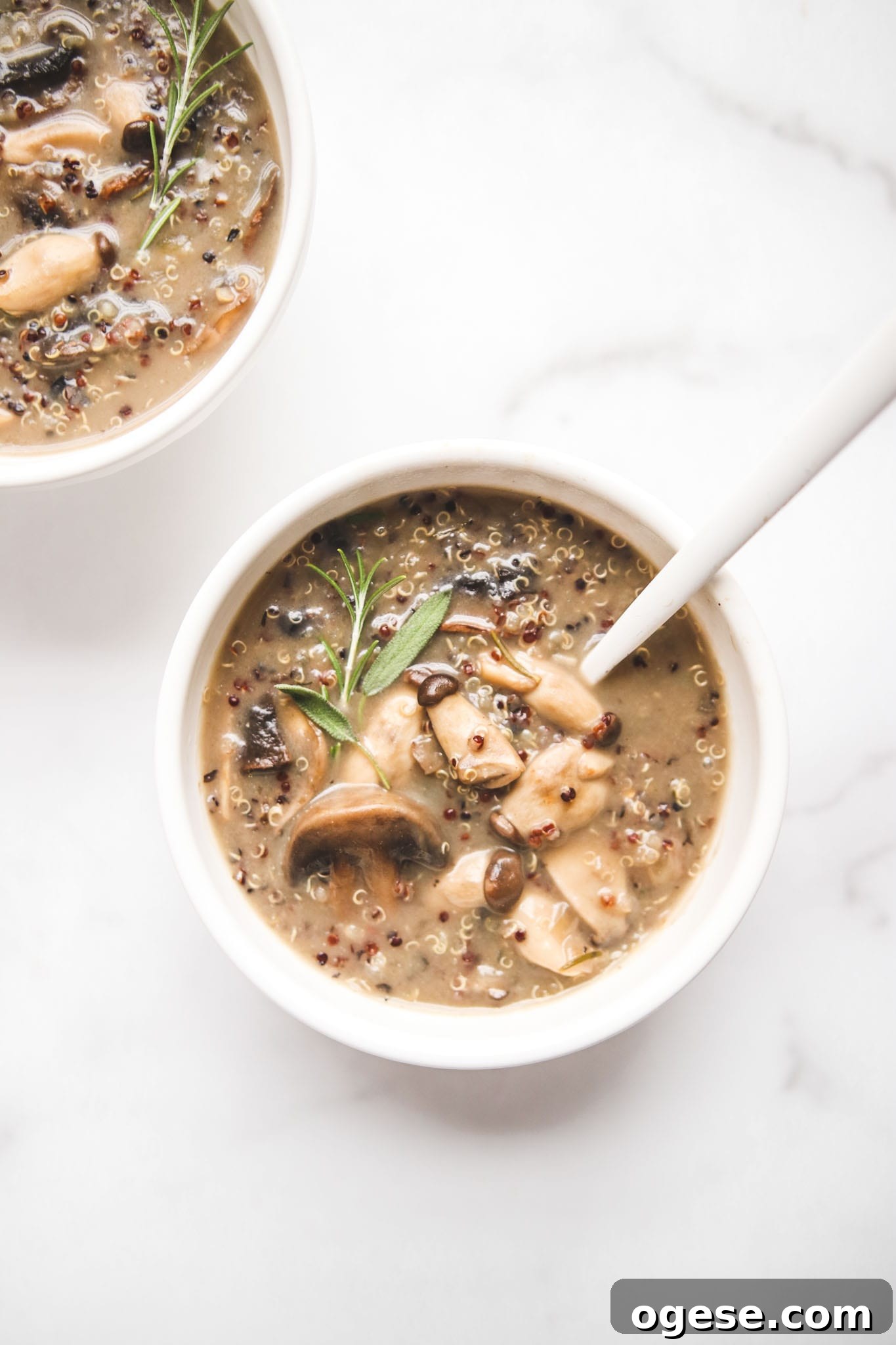 Three Mushroom Soup Veggiekins