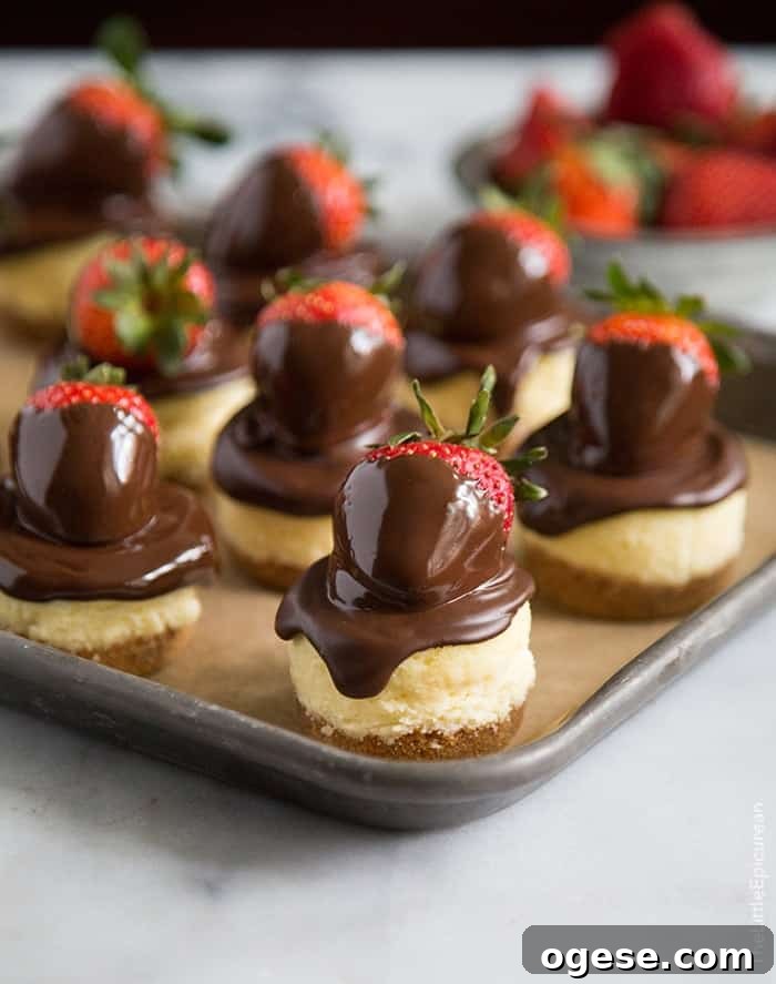 Chocolate Dipped Strawberry Cheesecake