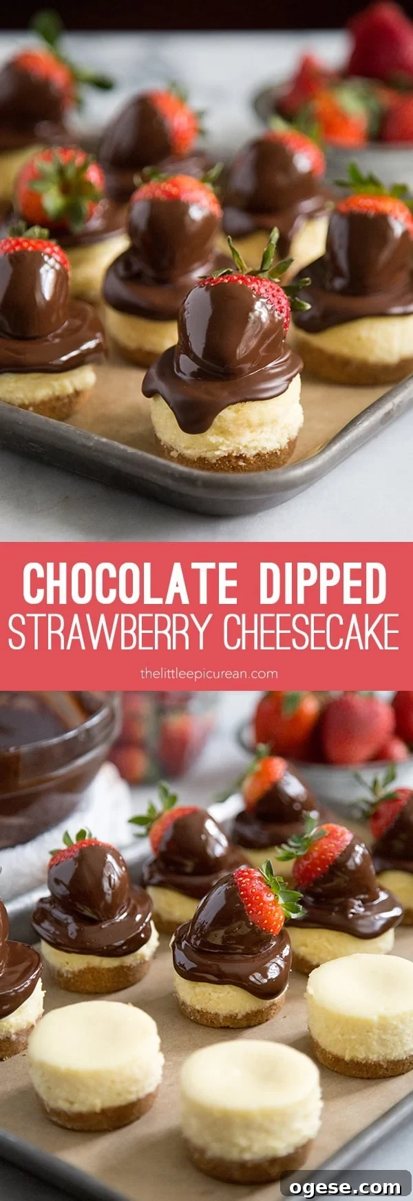 Chocolate Dipped Strawberry Cheesecake