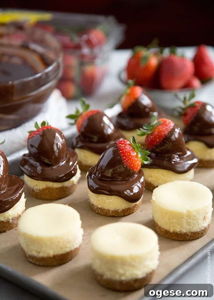 Chocolate Dipped Strawberry Cheesecake