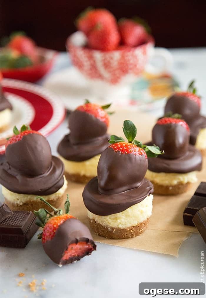 Chocolate Dipped Strawberry Cheescake