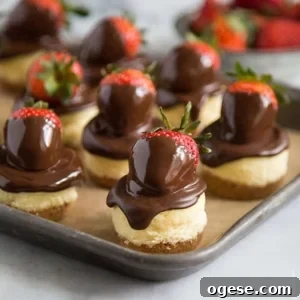 Chocolate Dipped Strawberry Cheesecake