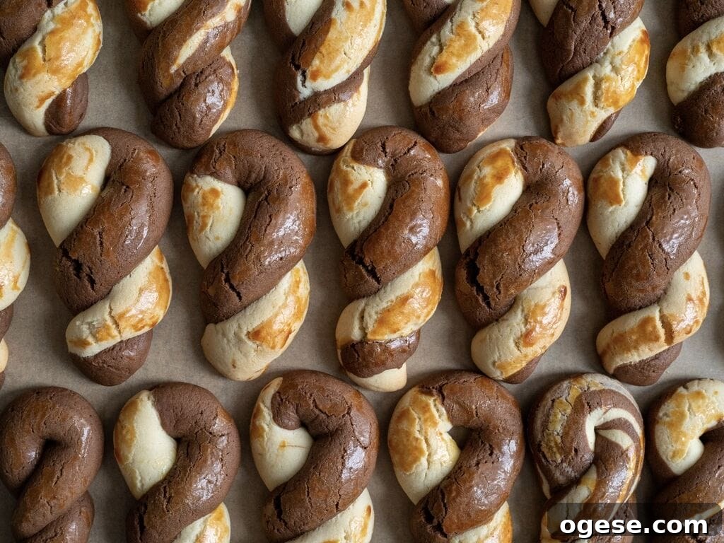 Greek Butter Koulourakia Cookies with Chocolate Swirl 2 Greek butter koulourakia with a chocolate twist on a baking tray.