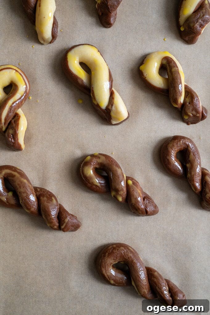 Greek Butter Koulourakia Cookies with Chocolate Swirl 17 Greek butter koulourakia with a chocolate twist on a baking tray.