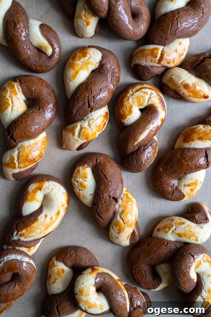 Greek Butter Koulourakia Cookies with Chocolate Swirl 3 Greek butter koulourakia with a chocolate twist on a baking tray.