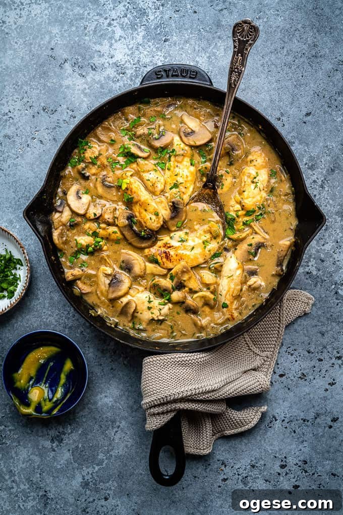 31 200-Calorie Meals for Weight Loss: Delicious Low-Cal Recipes 26 Chicken Stroganoff