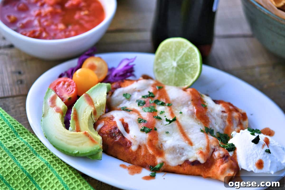 Salsa Chicken Enchiladas with Cheesy Tomato Sauce Recipe 12 softened tortillas ready to use