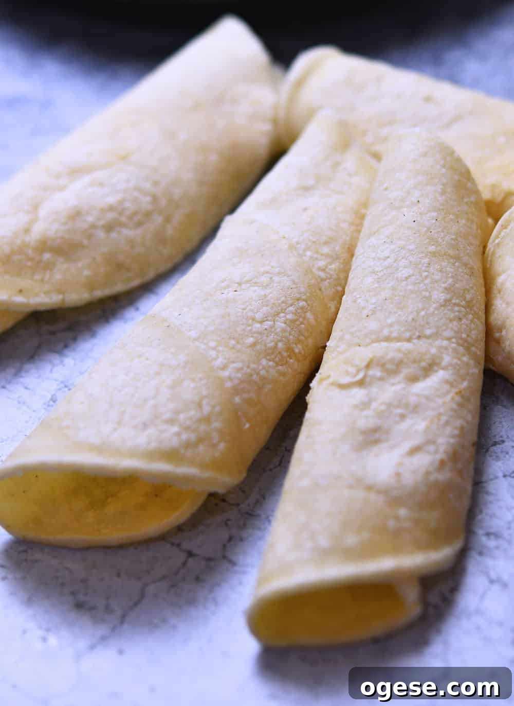 Salsa Chicken Enchiladas with Cheesy Tomato Sauce Recipe 6 three softened tortillas, rolled into an enchilada shape