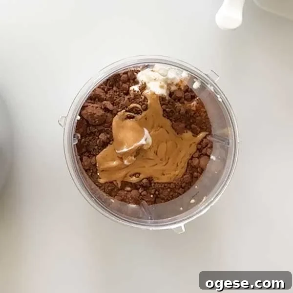 Chocolate Peanut Butter Cottage Cheese Ice Cream Bars — High-Protein Treat 5 Adding the ice cream ingredients to a blender cup.