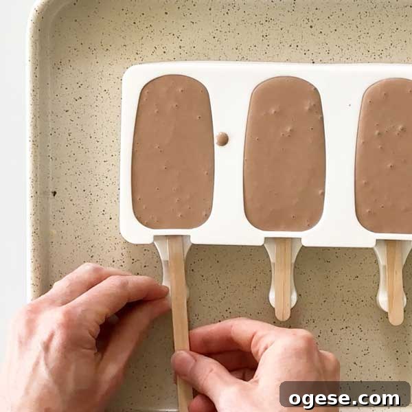 Chocolate Peanut Butter Cottage Cheese Ice Cream Bars — High-Protein Treat 8 Inserting the popsicle sticks into the mold.