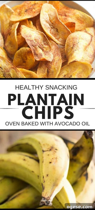 Homemade Avocado Oil Plantain Chips: Crispy Snack Recipe 2 Learn how to make healthy oven baked plantain chips at home - paleo, vegan, gluten free, clean eating and whole 30 compliant. These baked plantain chips are an easy, healthy snack or side dish. You can use avocado oil or coconut oil, make them sweet or savory. These are my favorite healthy snack for satisfying my salty/crunchy cravings!