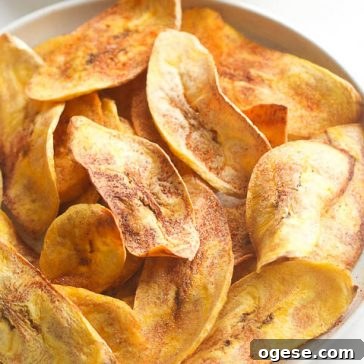 Learn how to make healthy oven baked plantain chips at home - paleo, vegan, gluten free, clean eating and whole 30 compliant. These baked plantain chips are an easy, healthy snack or side dish. You can use avocado oil or coconut oil, make them sweet or savory!